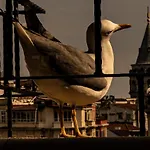 Galata M84 Apartmanhotel