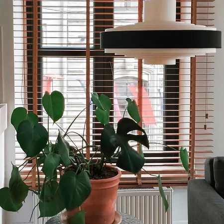 Galata M84 イスタンブール