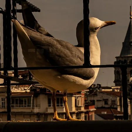 Galata M84 Aparthotel